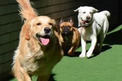 Sunny days and outdoor play